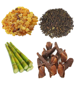 ترکیبات داروی ابن مسعود (طب اسلامی-آیت الله تبریزیان) عطاری مسلمین