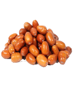 سنجد (طب اسلامی-آیت الله تبریزیان) عطاری مسلمین