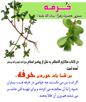 سبزی خرفه (طب اسلامی-آیت الله تبریزیان) عطاری مسلمین