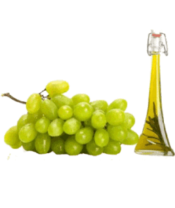 سرکه طبیعی انگور (طب اسلامی-آیت الله تبریزیان) عطاری مسلمین
